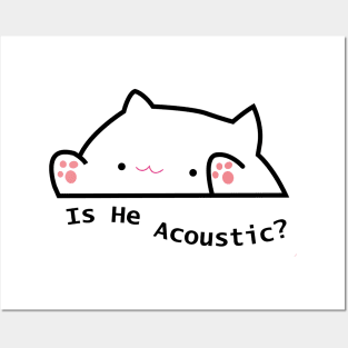 is he acoustic cat tiktok meme Posters and Art